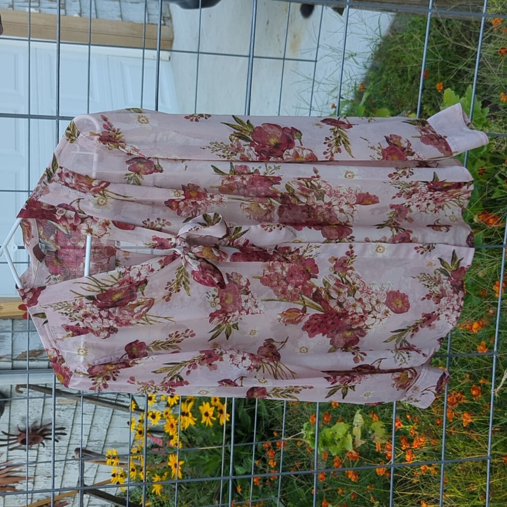 Sheer Blouse with Bow